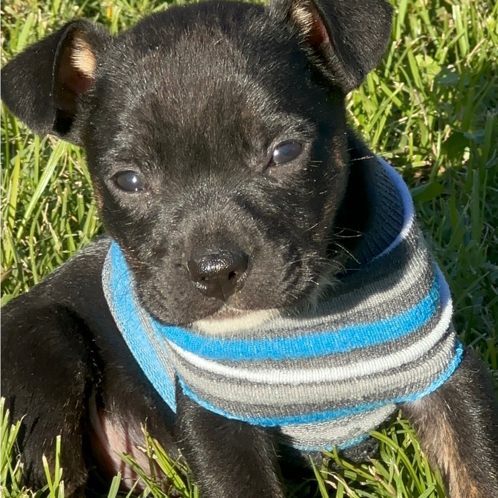 My new baby.